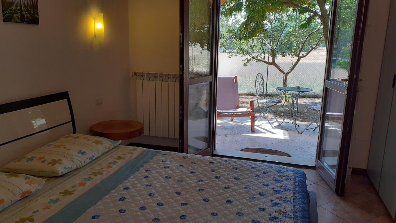 B&B Il Pizzagiallo Massa Martana Ngoại thất bức ảnh